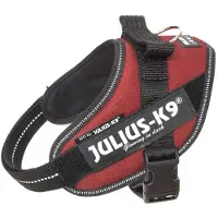 JULIUS K-9 Idc Power Dog Harness Rouge 3XL-4
