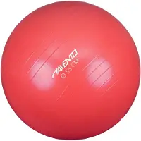 Avento Balle de fitness Ø 55