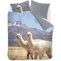 Ambiante Housse de Couette Ambiante Cusco Multi Flanelle-240 x 220 cm | Lits-Jumeaux