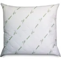 Good Morning Oreiller Bamboo 80x80 (Taille allemande)