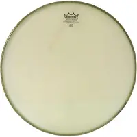 Remo RC-2900-RS Renaissance Standard 29
