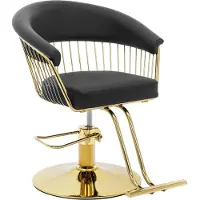Physa Fauteuil de coiffure Expondo avec repose-pieds - 44 - 54 cm - 200 kg - Noir, doré