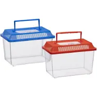 Sans marque Boite Insectes Couleurs Assorties