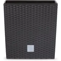 Prosperplast Pot avec insert Rato Low DRTS265L Anthracite