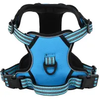 vidaXL Harnais pour chien avec laisse & collier Réglable bleu L