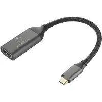 Renkforce Câble adaptateur HDMI USB-C mâle 15 cm noir RF-5234038 Blindage tressé (RF-5234038)