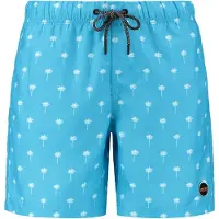 Shiwi Shorts de bain