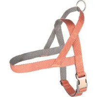 Flamingo Harnais Pour Chien Noruego Elly