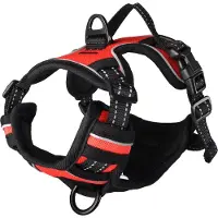 Flamingo Harnais Pour Chien Balou