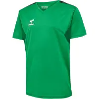 Hummel T-Shirt fonctionnel 'Authentic' vert / vert foncé / noir / blanc