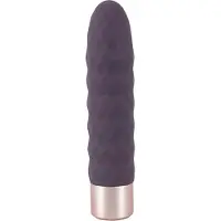 You2Toys - Vibromasseur rechargeable élégant - violet