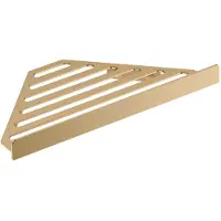 Hansgrohe AddStoris Tablette de douche en angle, 41741140