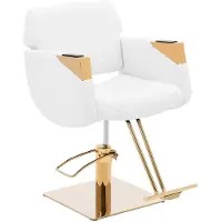 Physa Fauteuil de coiffeur avec repose-pieds - 470 - 630 mm - 200 kg - Blanc / Doré