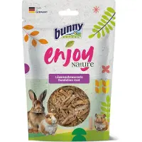 Bunny Enjoy Nature Dandelion Snack 100g 6 Units Multicolore