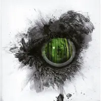 Suburban CD de - Emerald forest and the blackbird - pour Indifférent - Standard - Taille Standard