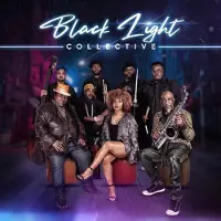 Bertus Distributie Black Light Collectie [Vinyl]