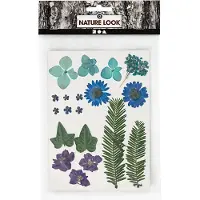 Creativ Company Fleurs et feuilles séchées Bleu