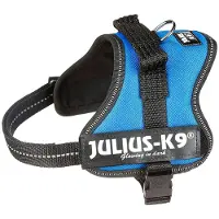 Julius-K9 Harnais Powergeschirr pour chiots, taille 1–Mini, tour de poitrine 40–53 cm, largeur du sangle 22 mm, couleur bleu