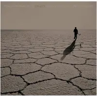 Bertus Distributie Salero (Original Motion Picture Soundtrack)