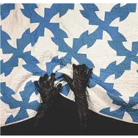 Bertus Distributie Detroit House Guests The Remixes