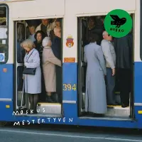 Bertus Distributie Mestertyven
