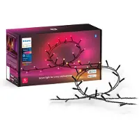 Philips Hue Festavia Guirlande - 20 mètres - 250 LED