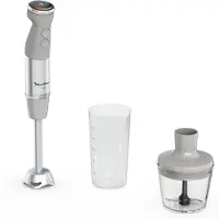 Moulinex Mixeur Plongeant - Dd672b10 -