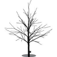 Coen Bakker Produits de jardin