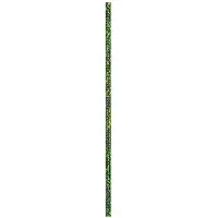 BEAL Spelenium Unicore 8.5 Mm Rope Blanc 200 m