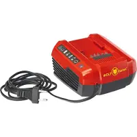 Wolf-Garten Batterie LYCOS 40/250 A pour appareils LYCOS 40V