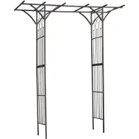 Nature Arc de jardin métal 114x66x232 cm noir