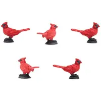 Safari Ltd Educational Cardinal Figure 192 Pieces Rouge Enfants