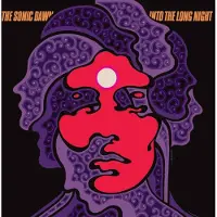 Heavy Psych Into the long night Vinyle orange