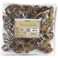 Safari Ltd Dinosaur Skulls Figure 48 Pieces Marron From 3 Years