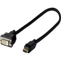 VivoLink Câble écran DisplayPort vers DVI 24+1 - - 1,5m - Support 4K - Connecteurs avec vis moletées
