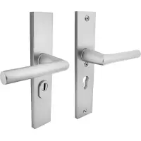 Intersteel Quincaillerie de porte arrière PC 55mm Aurano Protection contre la traction du noyau en aluminium