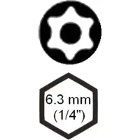 SW-Stahl Embout de vissage, 1/4", profil TR, T20 TBM/4-T20