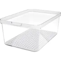 Rotho Organiseur de réfrigérateur 4,65 l CAUMA, Couleur:Transparent