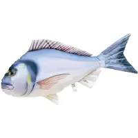 Gaby The Gilthead Sea Bream Medium Pillow Blanc