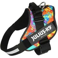 JULIUS K-9 Idc Power Dog Harness Multicolore M-0