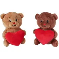 Van Manen Veenendaal Take Me Home Knuffel Pluche - Beer met Hart, 15cm