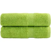 vidaXL Serviettes de bain de qualité supérieure SOLUND 2 pcs 600g/m²