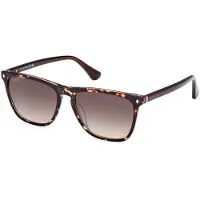 Web Lunettes de soleil pour hommes Eyewear WE0363 5556B