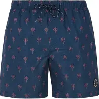 Protest Alvis Swimming Shorts Bleu S Homme