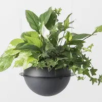Estiluz Circ Pot de Fleur Suspendu