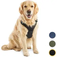 Jake and Jacky Harnais pour chien Jake et Jacky - Harnais anti-traction - Harnais pour chien - Harnais Y pour chien - Réfléchissant - Noir - Taille XL