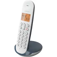 Logicom Téléphone sans fil Iloa 150 sans répondeur Ardoise
