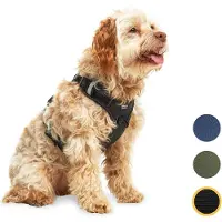 Jake and Jacky Harnais pour chien Jake et Jacky - Harnais Anti-Trek - Harnais pour chien - Harnais Y pour chien - Réfléchissant - Noir - Taille M