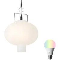 QAZQA Suspension extérieure intelligente blanche 35 cm avec Wifi A60 - Pion