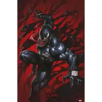 Grupo Erik Venom - Symbiotes - Poster 61 X 91cm